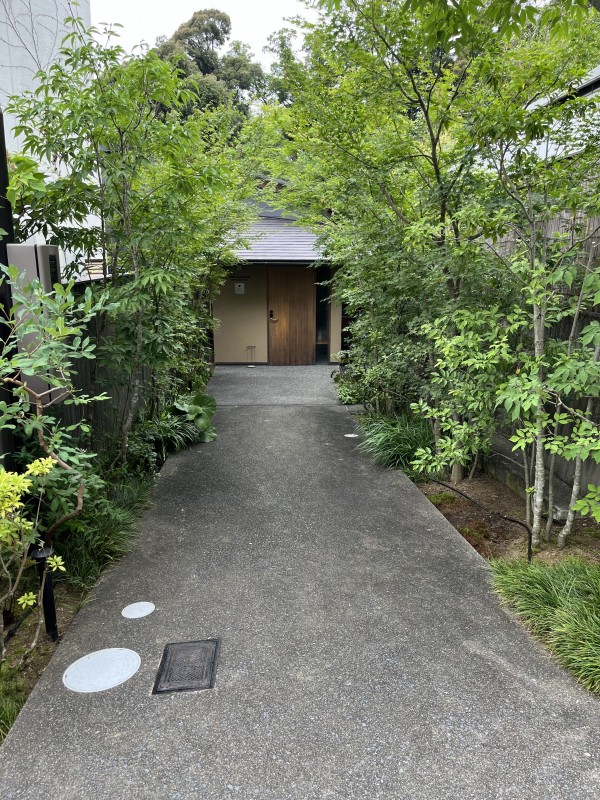 庭木のお手入れ方法。今回は京都市東山区で剪定をさせていただいた事例を元に説明させていただきます。サムネイル